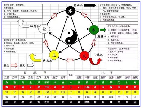 庚屬性|第17課十天干顏色、陰陽、五行方位、屬性、轉換關係等（珍藏。